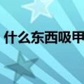 什么东西吸甲醛最快洋葱（什么东西吸甲醛）