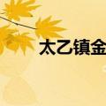 太乙镇金丹（关于太乙镇金丹简介）
