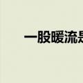 一股暖流是指什么意思（暖流的意思）