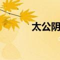 太公阴谋（关于太公阴谋简介）