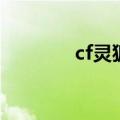 cf灵狐裙子（cf灵狐者裙底）