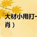 大材小用打一个动物生肖（大材小用指什么生肖）