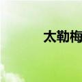 太勒梅得（关于太勒梅得简介）