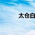 太仓白葱（关于太仓白葱简介）