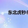 东北虎秒杀非洲狮（东北虎秒杀狮子）
