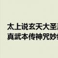 太上说玄天大圣真武本传神咒妙经注（关于太上说玄天大圣真武本传神咒妙经注简介）