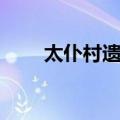 太仆村遗址（关于太仆村遗址简介）