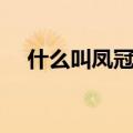 什么叫凤冠霞帔（凤冠霞帔是什么生肖）
