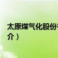 太原煤气化股份有限公司（关于太原煤气化股份有限公司简介）