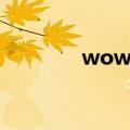 wow白猫路线（wow白猫）