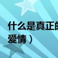 什么是真正的爱情最好的回答（什么是真正的爱情）