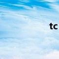 tc boy成员（tc boy）