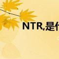 NTR,是什么意思（ntr什么意思是）