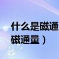 什么是磁通量,什么是磁通量的变化（什么是磁通量）