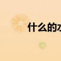 什么的水乡填空题（什么的水乡）