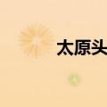 太原头脑（关于太原头脑简介）