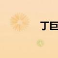 丁巨胜自然资源局（丁巨）