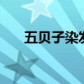 五贝子染发剂安全吗（五贝子染发剂）
