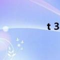 t 34 393部队（t 34 3）