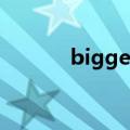 bigger than bigger什么牌子