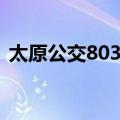 太原公交803路（关于太原公交803路简介）