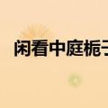 闲看中庭栀子花古诗文（闲看中庭栀子花）