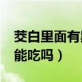 茭白里面有黑点还能吃吗?（茭白里面有黑点能吃吗）