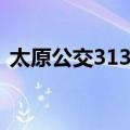 太原公交313路（关于太原公交313路简介）