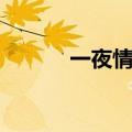 一夜情攻略视频（一夜情攻略）