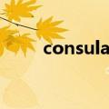 consulate的形容词（consulate）