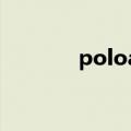 poloaristocracy是几线品牌