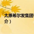 太原希尔发集团有限公司（关于太原希尔发集团有限公司简介）