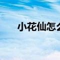 小花仙怎么结花缘（小花仙怎么结婚）