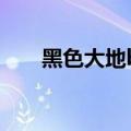 黑色大地boss打法（黑色大地boss）