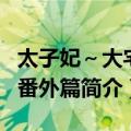 太子妃～大宅门番外篇（关于太子妃～大宅门番外篇简介）