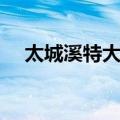 太城溪特大桥（关于太城溪特大桥简介）