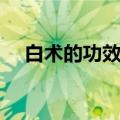 白术的功效与作用（北芪的功效与作用）