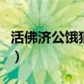活佛济公饿狼传说洪天恩（活佛济公饿狼传说）