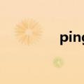 ping端口号（ping 端口）
