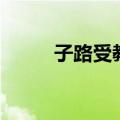 子路受教文言文翻译（子路受教）