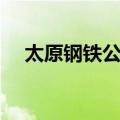 太原钢铁公司（关于太原钢铁公司简介）