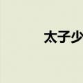 太子少保（关于太子少保简介）