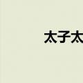 太子太傅（关于太子太傅简介）