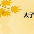 太子婴（关于太子婴简介）