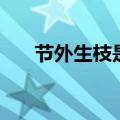 节外生枝是生肖（节外生枝打一生肖）