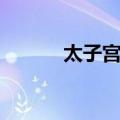 太子宫尹（关于太子宫尹简介）