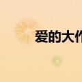爱的大作战 沈玉琳（爱的大作战）