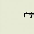 广宁情歌申仔（广宁情歌）