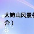 太姥山风景名胜区（关于太姥山风景名胜区简介）