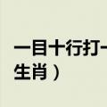一目十行打一生肖是什么生肖（一目十行打一生肖）
